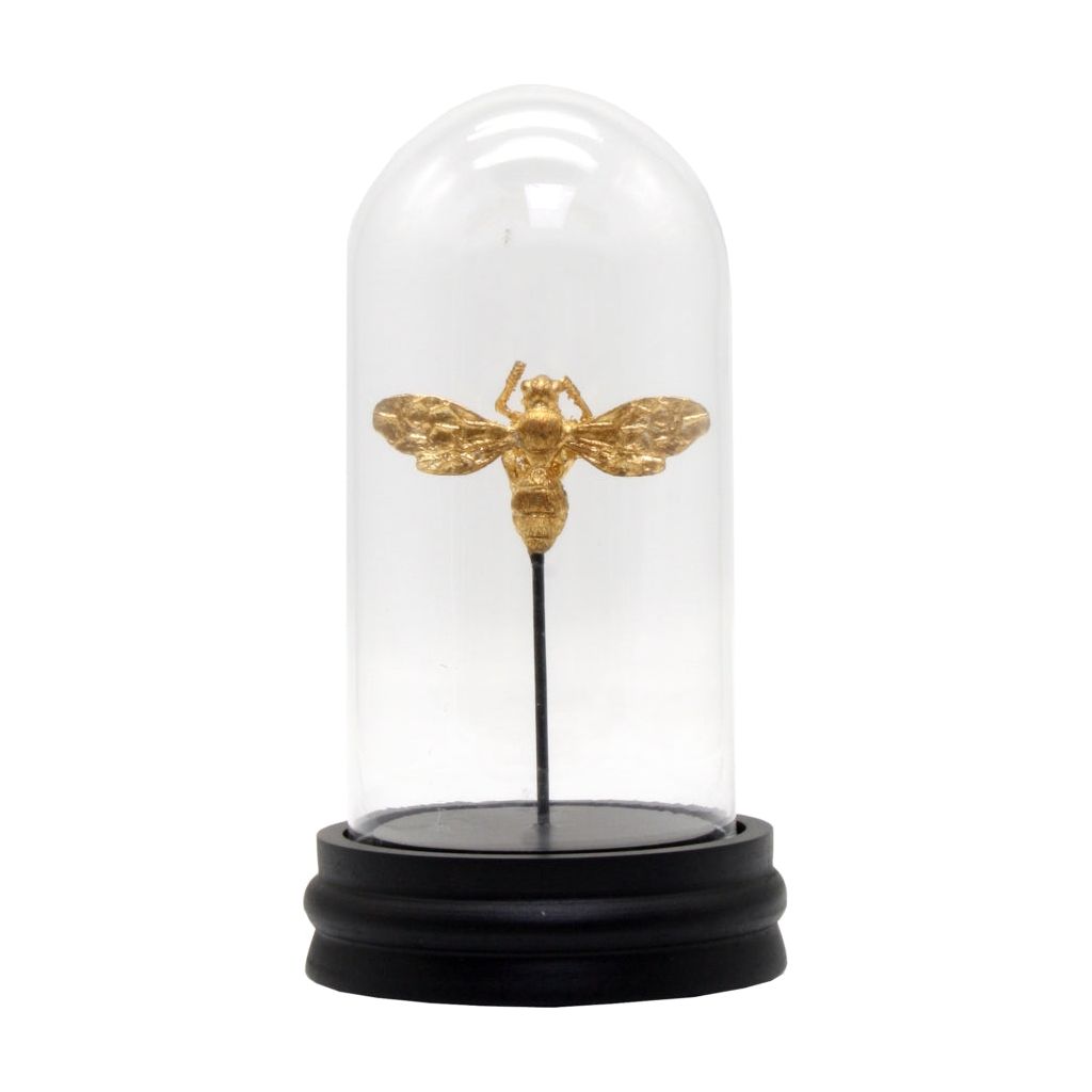 Single gold bee in glass dome on black wooden stand | Haus of Bazar | Sydney