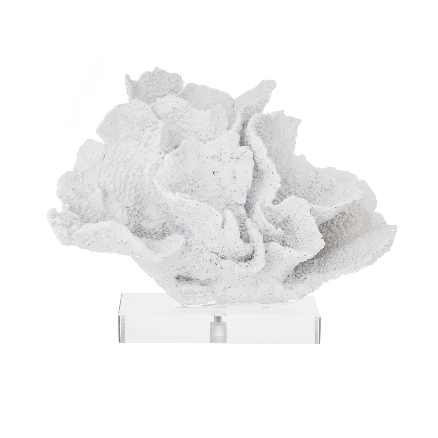 Society Home Coral Sculpture White | White Coral Sculpture | White Coastal Sculpture | Haus Of Bazar | Sydney