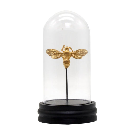Single gold bee in glass dome on black wooden stand |  Haus of Bazar | Sydney 