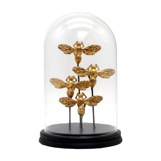 Single gold bees in glass dome on black wooden stand |  Haus of Bazar | Sydney 